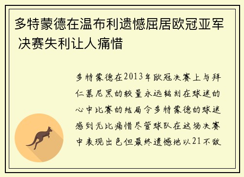 多特蒙德在温布利遗憾屈居欧冠亚军 决赛失利让人痛惜 多特蒙德在温布利遗憾屈居欧冠亚军 决赛失利让人痛惜