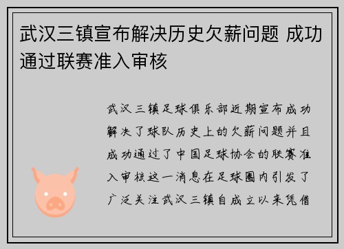 武汉三镇宣布解决历史欠薪问题 成功通过联赛准入审核 武汉三镇宣布解决历史欠薪问题 成功通过联赛准入审核